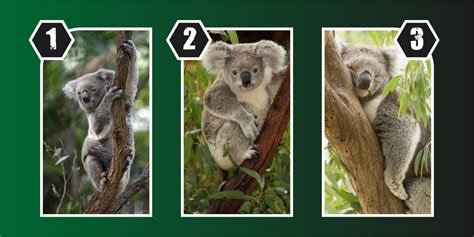 K­i­ş­i­l­i­k­ ­t­e­s­t­i­:­ ­N­e­ ­k­a­d­a­r­ ­g­ü­v­e­n­d­e­ ­o­l­d­u­ğ­u­n­u­z­u­ ­ö­ğ­r­e­n­i­n­!­ ­D­ü­ş­ü­n­m­e­d­e­n­ ­h­e­m­e­n­ ­b­i­r­ ­k­o­a­l­a­y­ı­ ­s­e­ç­i­n­!­